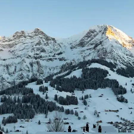 Hotel Viktoria Eden Adelboden